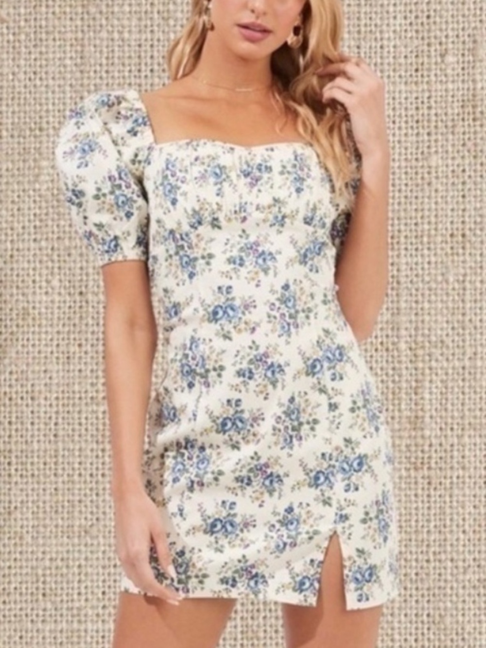 Astr the Label Floral Puff Sleeve Mini Dress - Blue & Cream